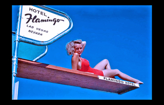 Janet Leigh feet photo thumbnail