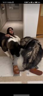 Janhvi Kapoor feet photo thumbnail