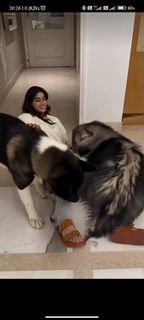Janhvi Kapoor feet photo thumbnail