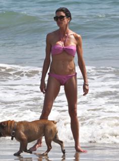 Janice Dickinson feet photo 9
