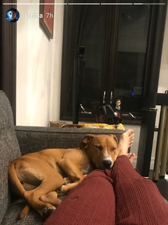 Janina Gavankar feet photo thumbnail