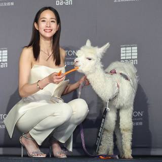 Janine Chun-Ning Chang feet photo 6