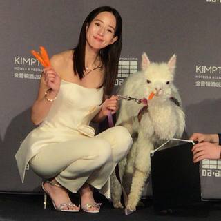 Janine Chun-Ning Chang feet photo 5