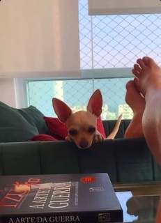 Jaqueline Carvalho feet photo 16
