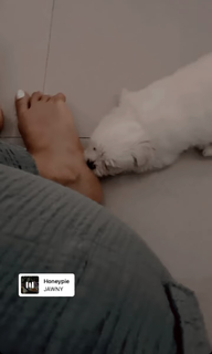 Jasmin Bhasin feet photo 20