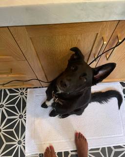 Jasmine Tookes feet photo thumbnail