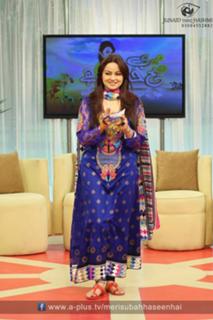 Javeria Abbasi feet photo 10