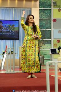 Javeria Abbasi feet photo 5