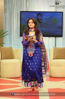 Javeria Abbasi feet photo 20