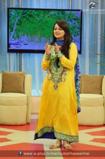 Javeria Abbasi feet photo 14