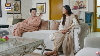 Javeria Abbasi feet photo 9