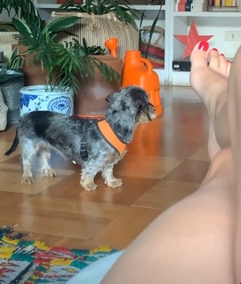 Javiera Díaz de Valdés feet photo 11