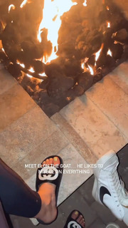 Jaycee Wilkins feet photo 9