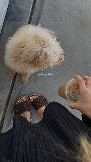 Jaycee Wilkins feet photo 17