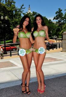 Jayde Nicole feet photo 14