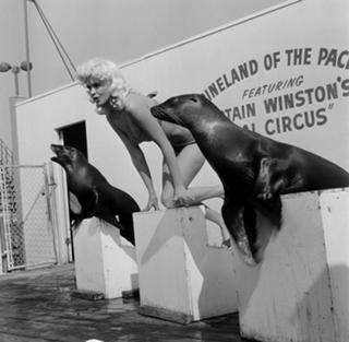 Jayne Mansfield feet photo thumbnail