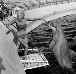 Jayne Mansfield feet photo thumbnail