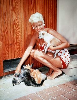 Jayne Mansfield feet photo thumbnail