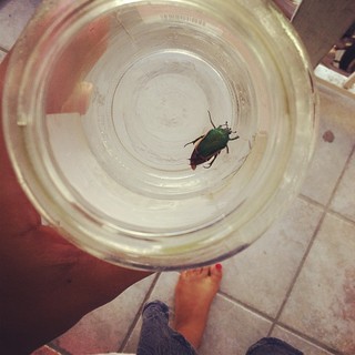 Jaz Sinclair feet photo thumbnail