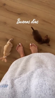 Jazmín Pinedo feet photo 18