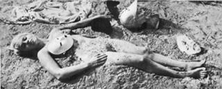 Jean Seberg feet photo 10