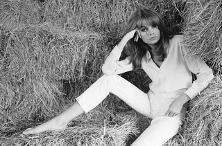 Jean Shrimpton feet photo 16