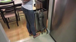 Jeana Smith feet photo thumbnail