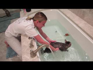 Jeana Smith feet photo thumbnail