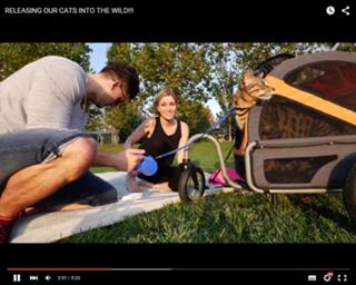 Jeana Smith feet photo thumbnail