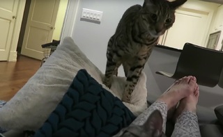 Jeana Smith feet photo thumbnail
