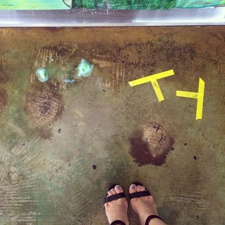 Jeanine Mason feet photo 8