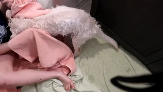 Jeannie Lee feet photo thumbnail