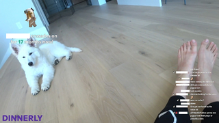 Jeannie Lee feet photo thumbnail
