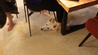 Jeannie Lee feet photo thumbnail