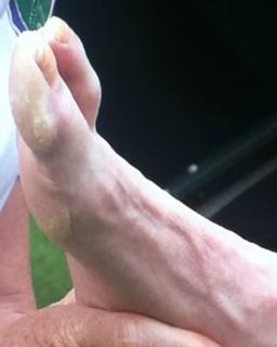 Jelena Dokic feet photo 2