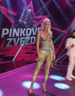 Jelena Karleuša feet photo 8