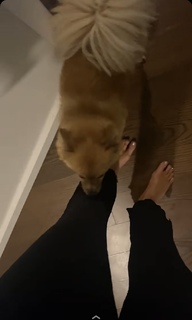 Jen Selter feet photo thumbnail