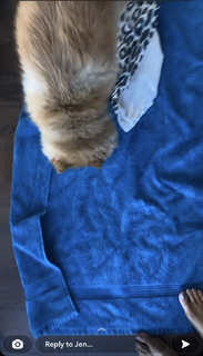 Jen Selter feet photo thumbnail