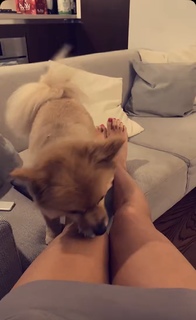 Jen Selter feet photo thumbnail