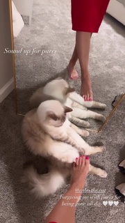 Jen Vick feet photo 12