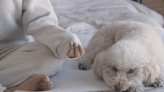 Jenn Im feet photo 20