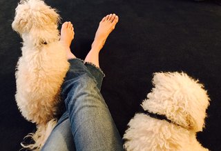 Jenna Elfman feet photo thumbnail