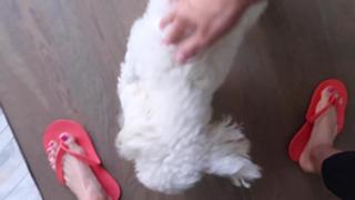 Jenna Ezarik feet photo thumbnail