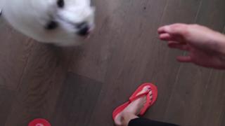 Jenna Ezarik feet photo thumbnail