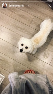 Jenna Ezarik feet photo thumbnail