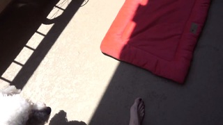 Jenna Ezarik feet photo thumbnail