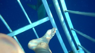 Jenna Ezarik feet photo thumbnail