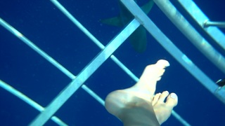 Jenna Ezarik feet photo thumbnail