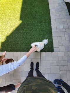 Jenna Ezarik feet photo thumbnail
