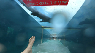 Jenna Ezarik feet photo thumbnail